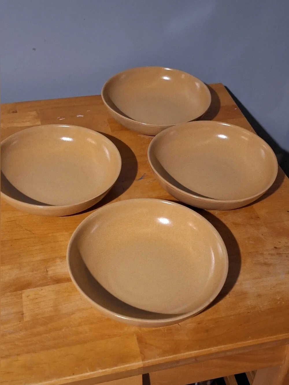 🍜 PIER 1 🍜 Stoneware, Pasta Bowl